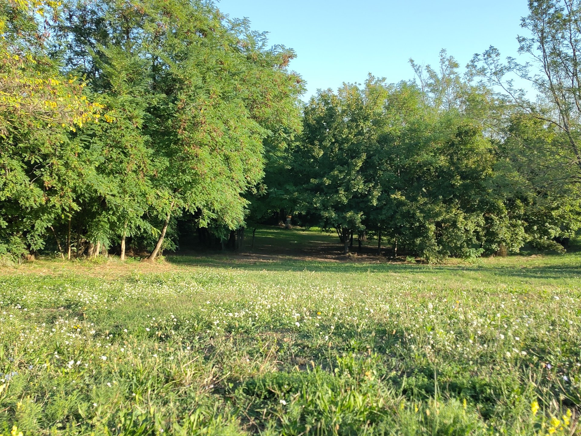 tee hole 1 (red layout)