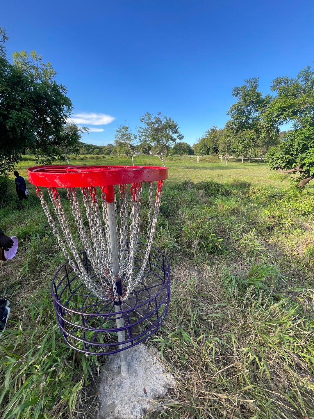 Hole 8 Basket