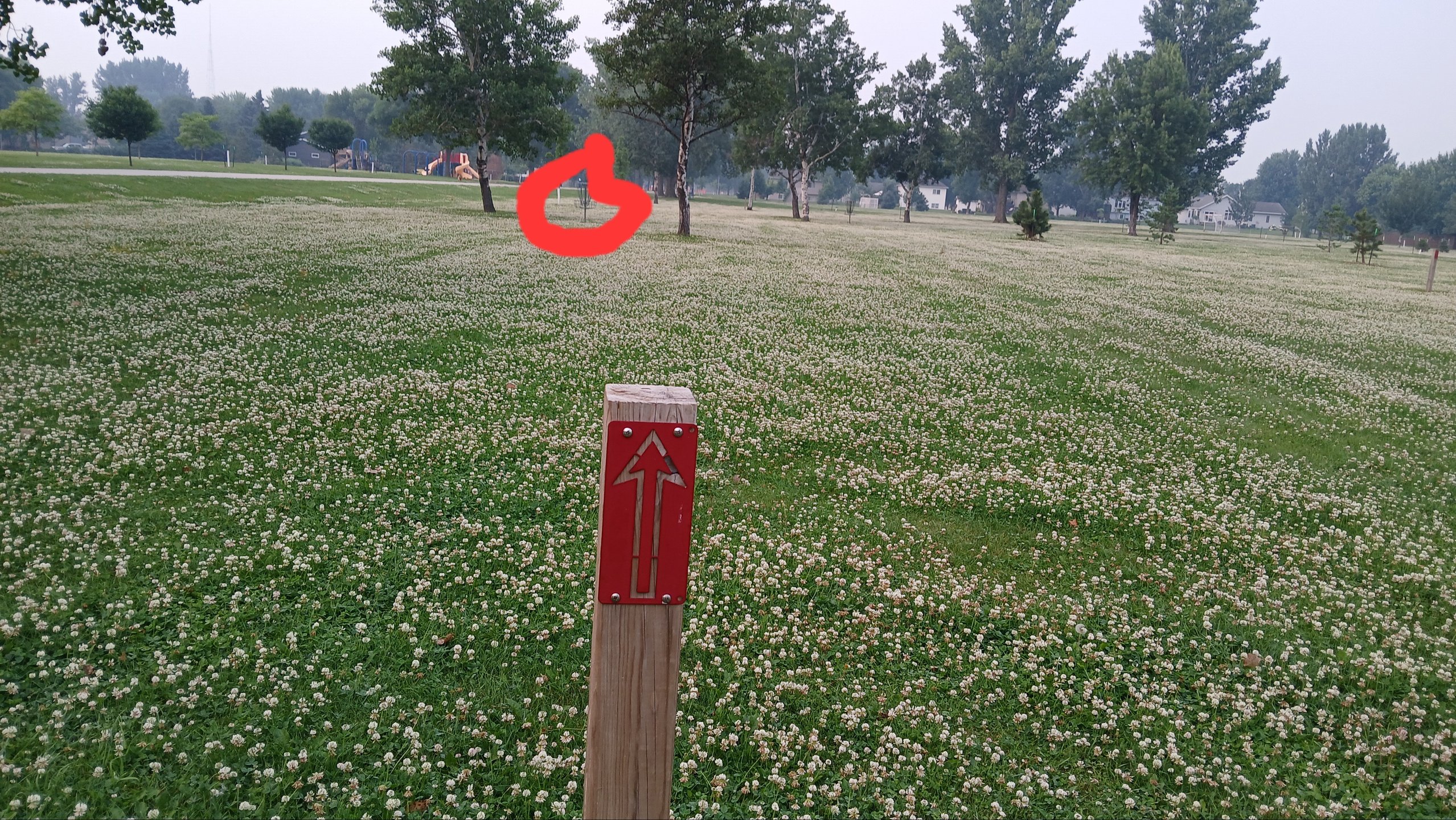 A smooth throw for #2, where I got my first ace!

106ft