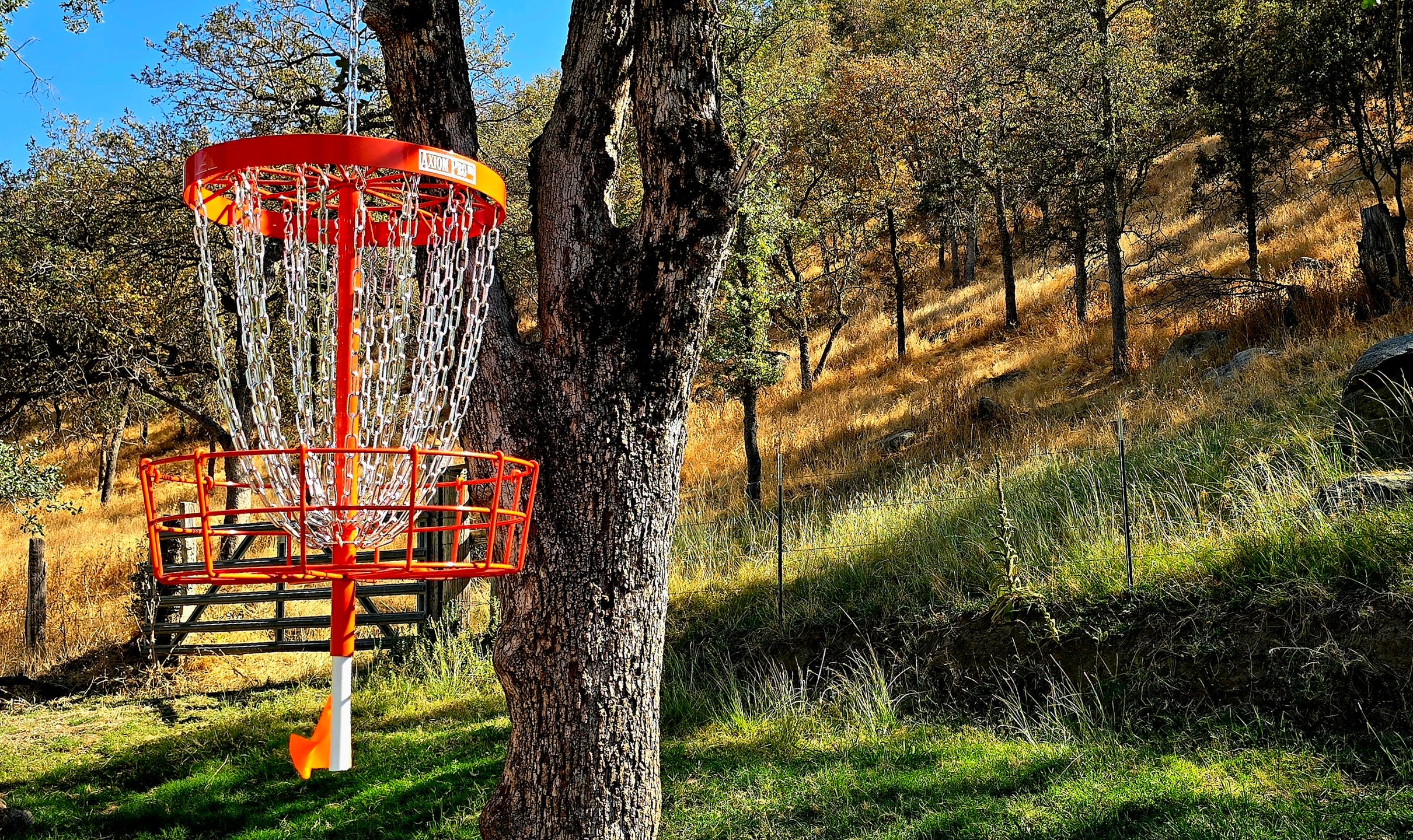 Looking toward basket of 10.