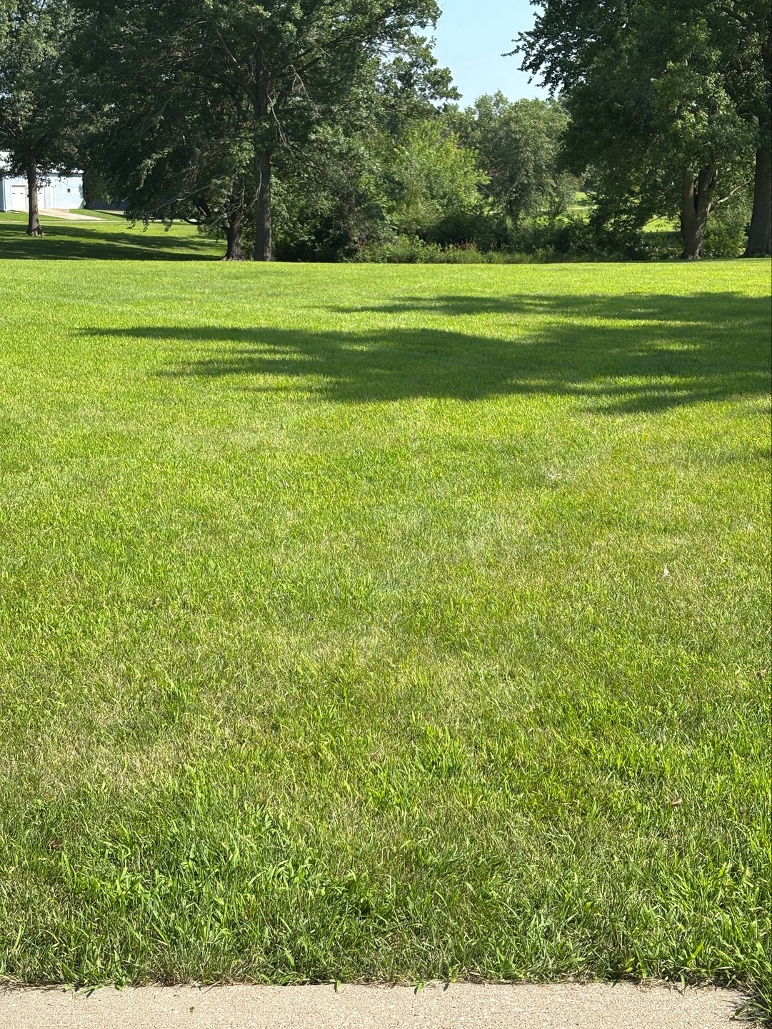 #11 Fairway