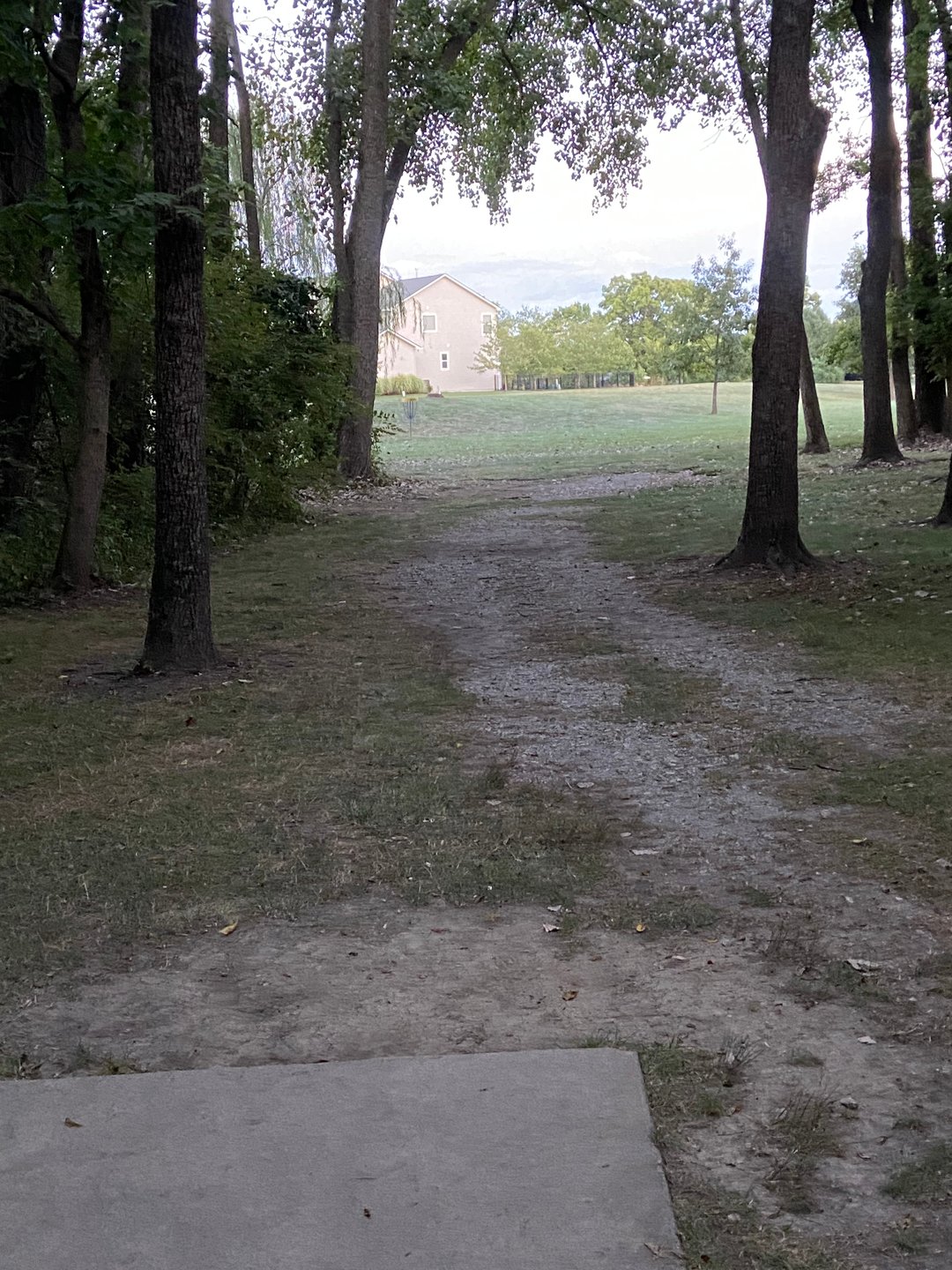 Hole 8. Basket beyond the trees. 