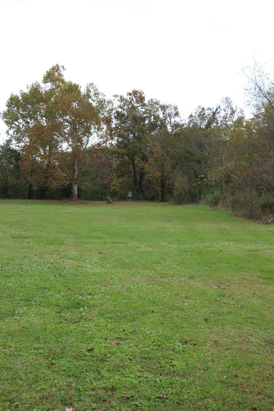View from the tee. Water is approximately 20 feet behind the basket.
