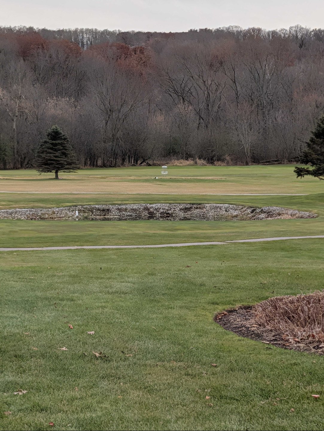 basket location zoomed in from long tee