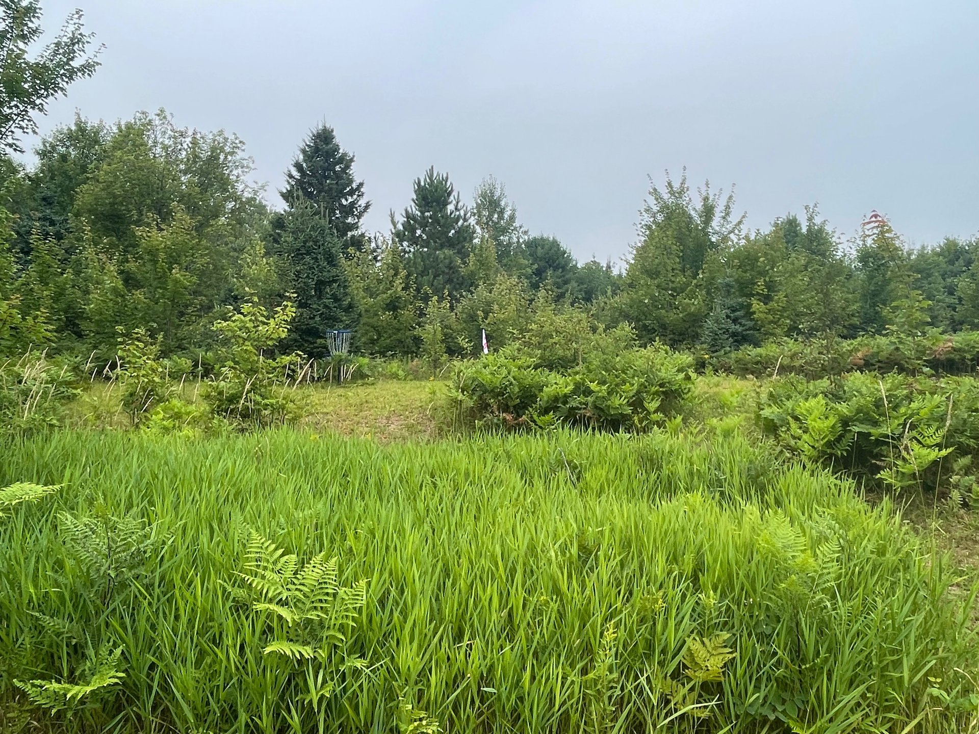 Approach into basket 16