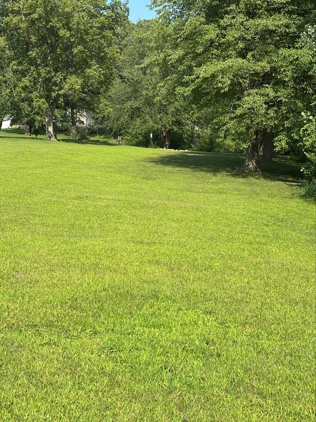 #17 Fairway