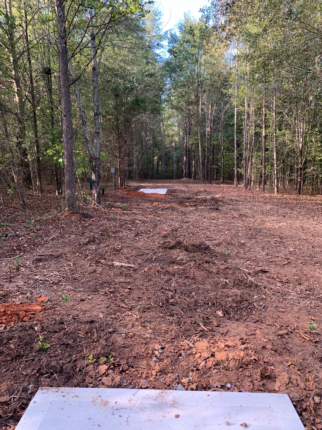 Hole 12 - Gold Tee (under construction)