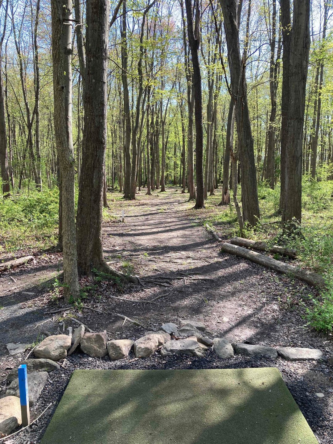 View from Hole 15 blue tee