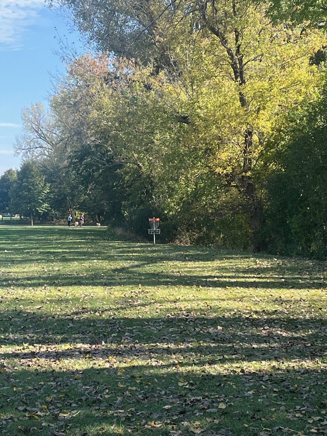 17 Long Basket approach