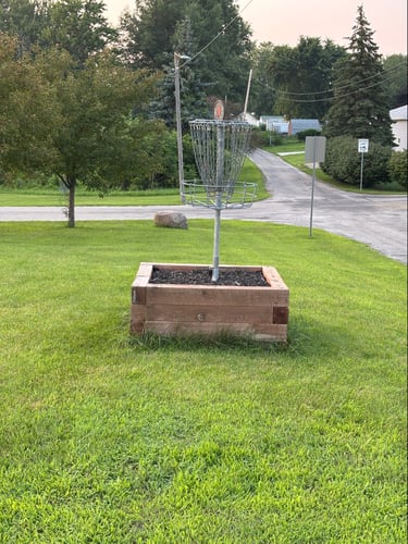 Elevated Basket Hole #1