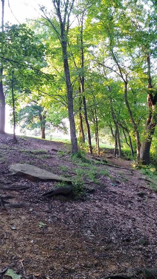 Older image on 15, at the top of the hill you drive up.  The basket in this image is visible across the street but that position isn't available anymore.  On the right side of the image you see a white pipe and that is the only valid position of the old three left.  Storms destroyed the others.