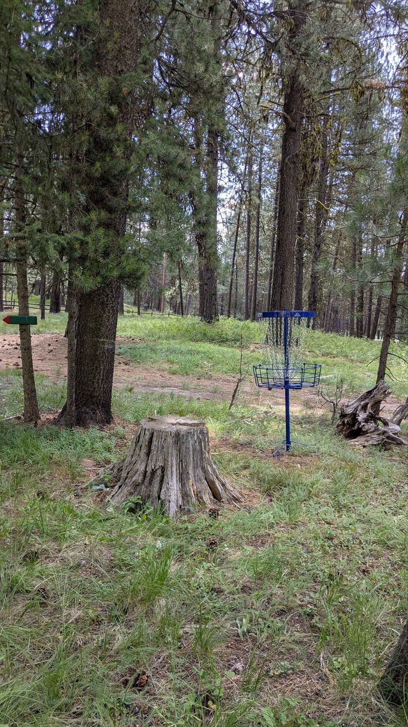 #19 - Basket