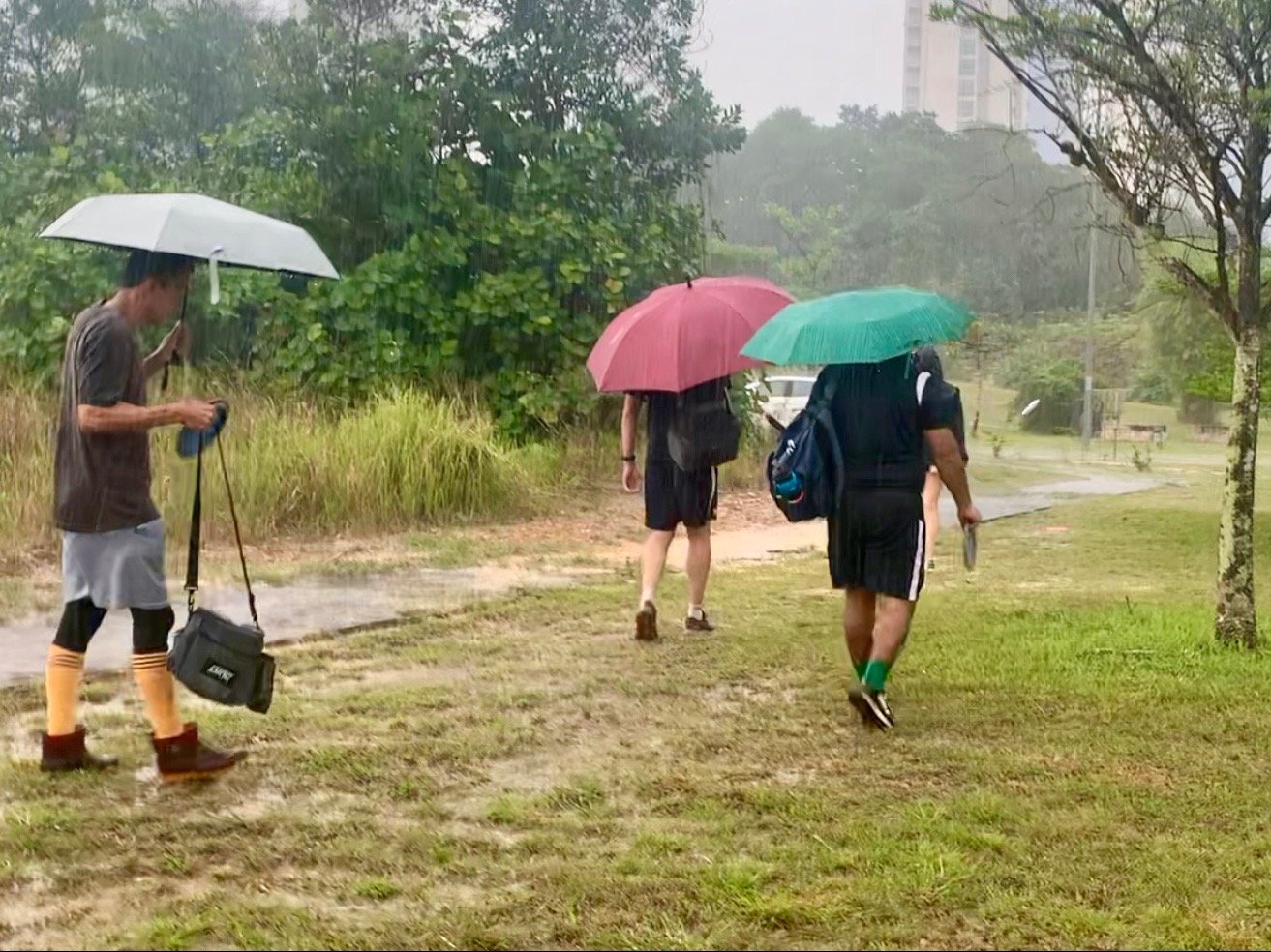 Dedication