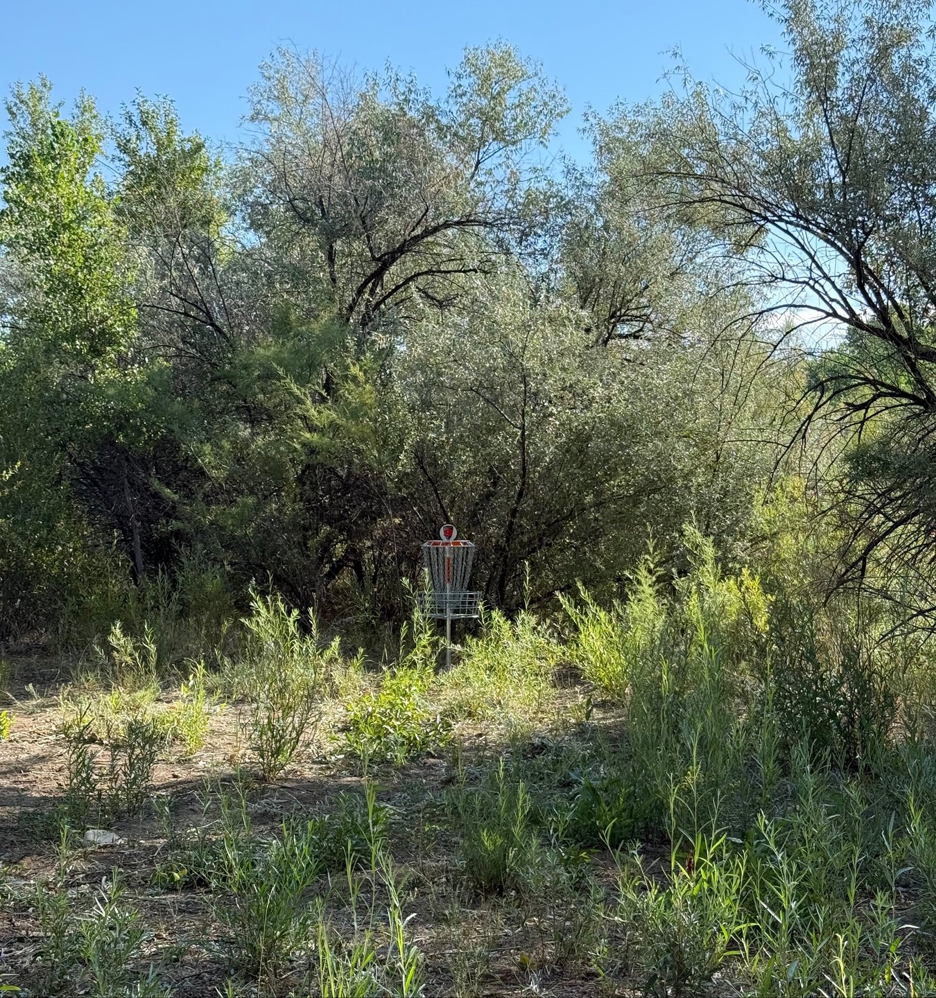 The long basket of hole 9.
