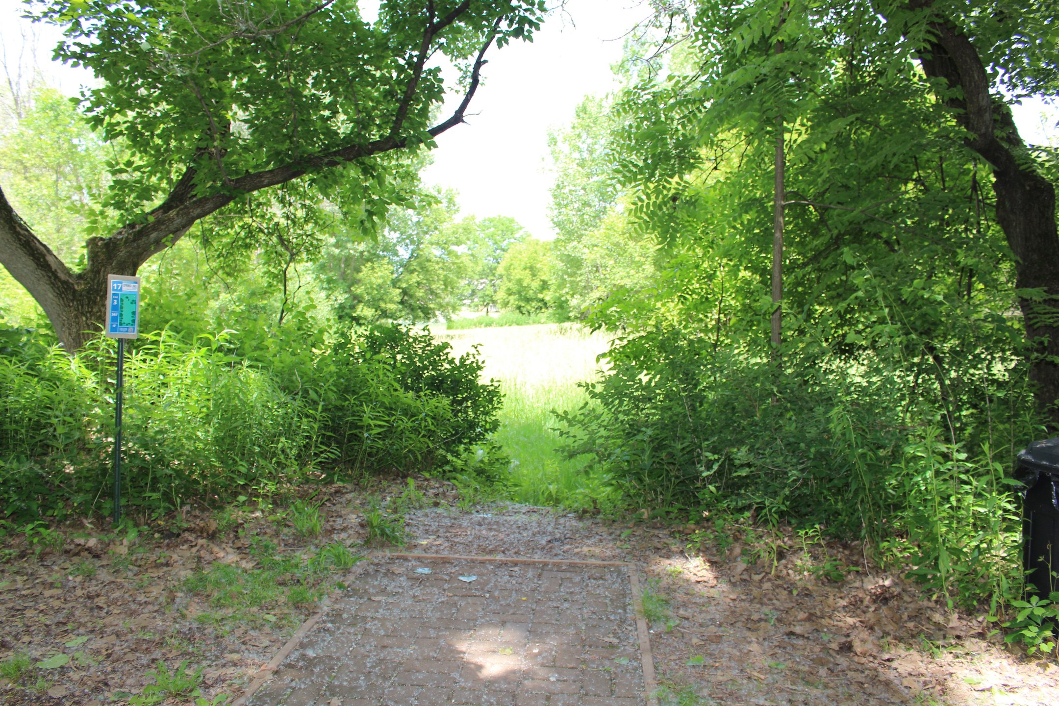 #17: Dead straight throw over tall grass into open green. 