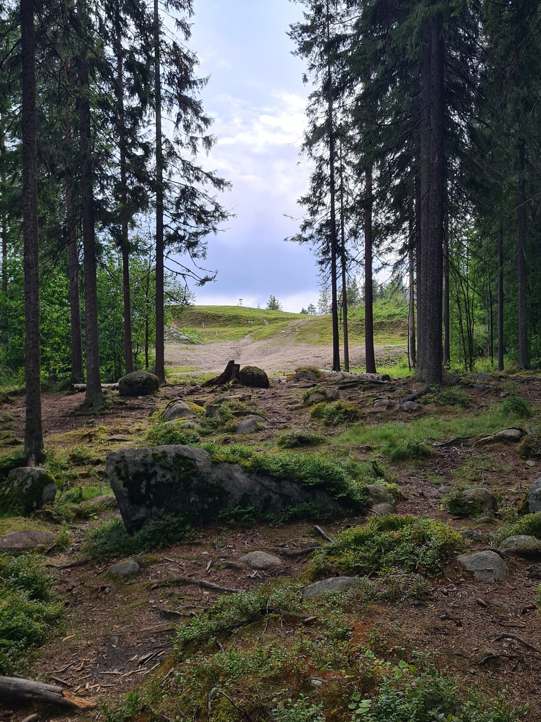 Hole 10 fairway 