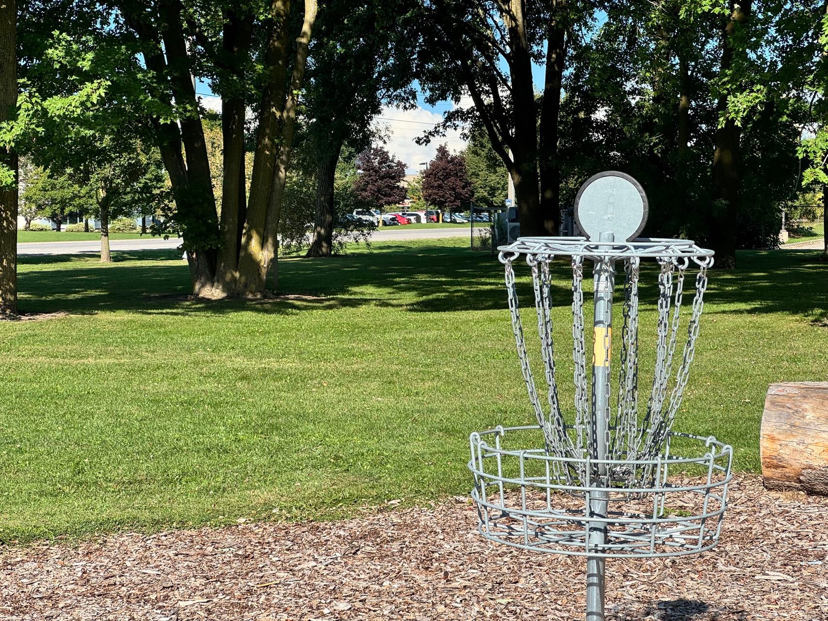 Silver Basket