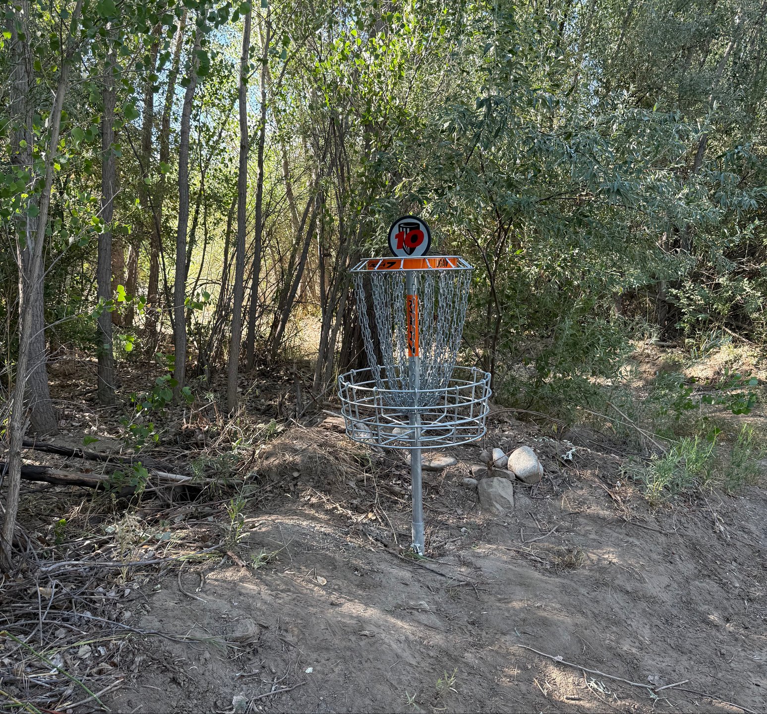 The only basket on hole 10.