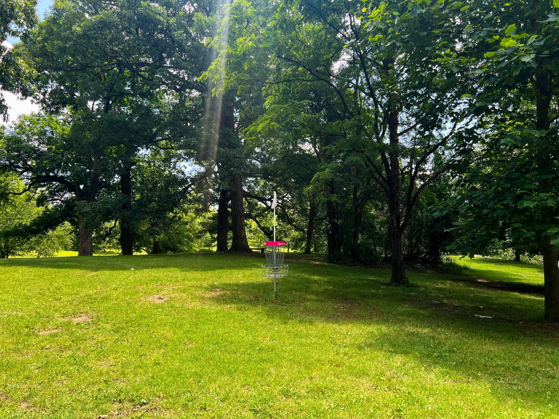 Hole 6's pink basket. Par 3. 353 ft. Hole 7's tee is straight past the basket. 