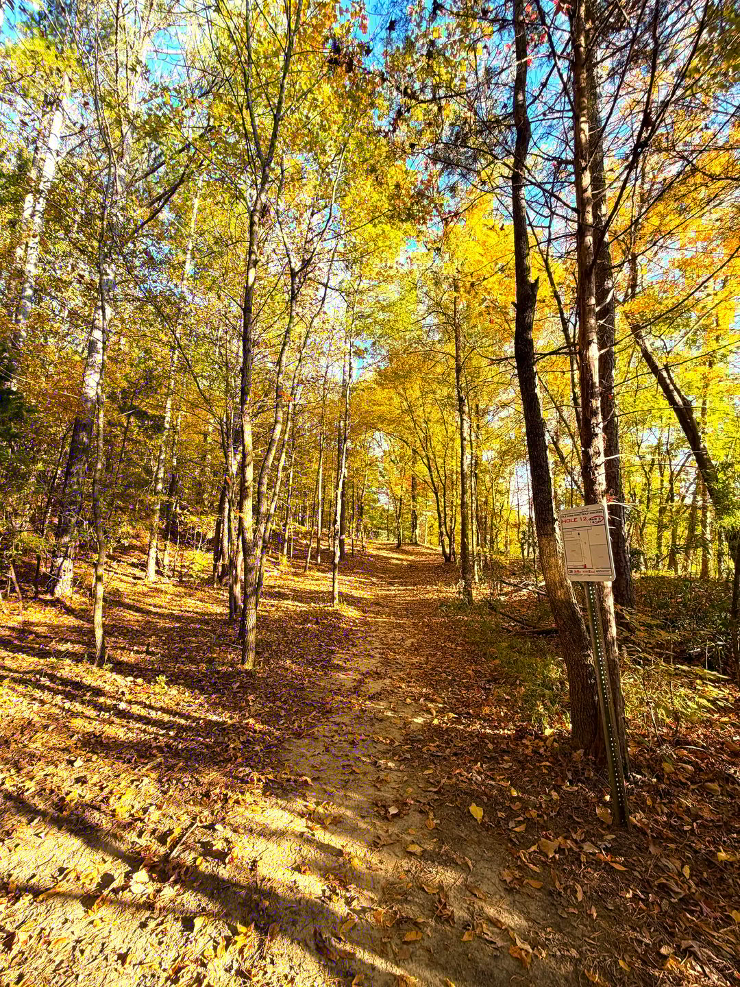 Hole 12 Uphill Fairway