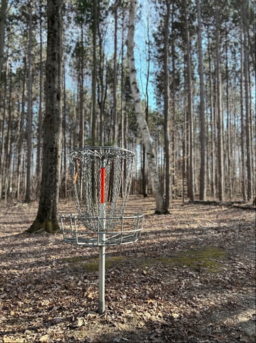 Hole 9s basket