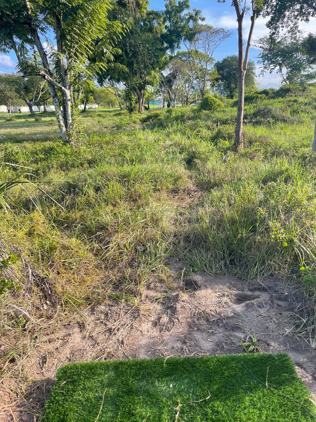 Hole 9 Short Pad