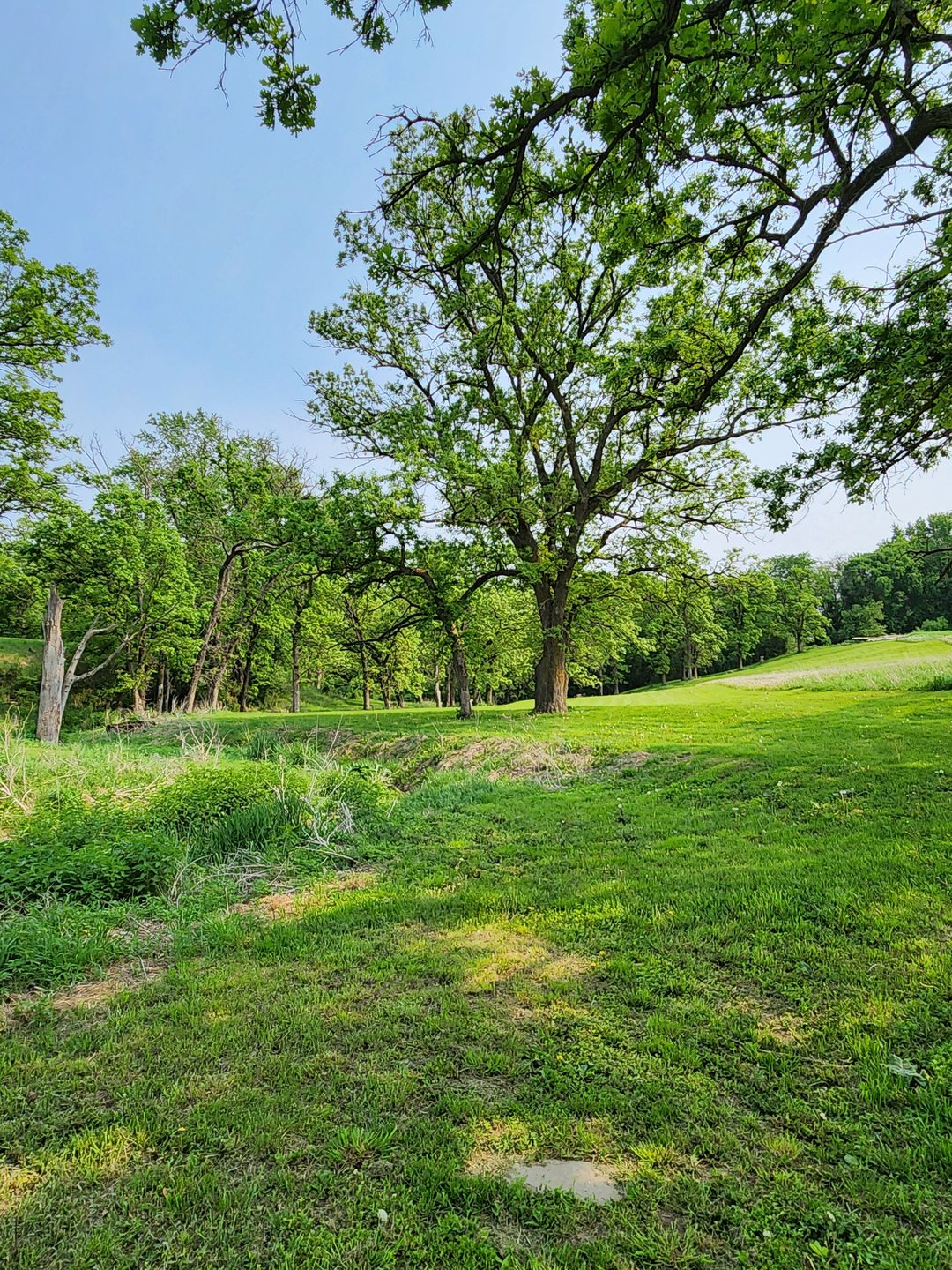 Hole 9 Tee Pad