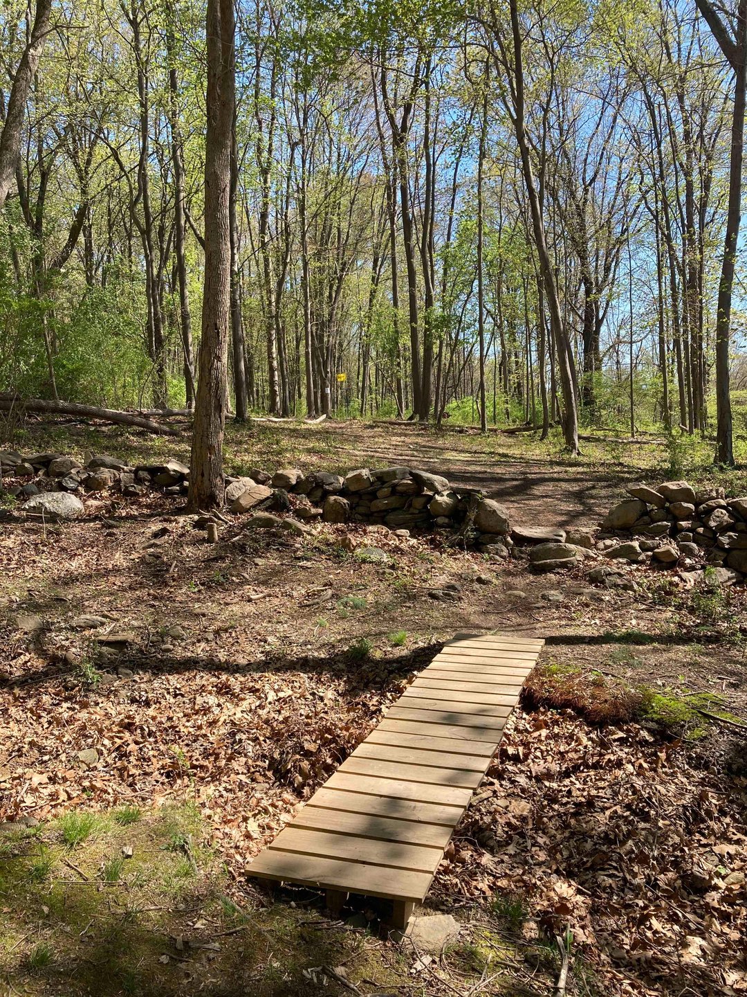 View from Hole 5 fairway toward basket