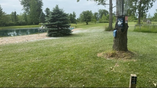 Hole 1 tee with hole 22 basket (Parking to right)