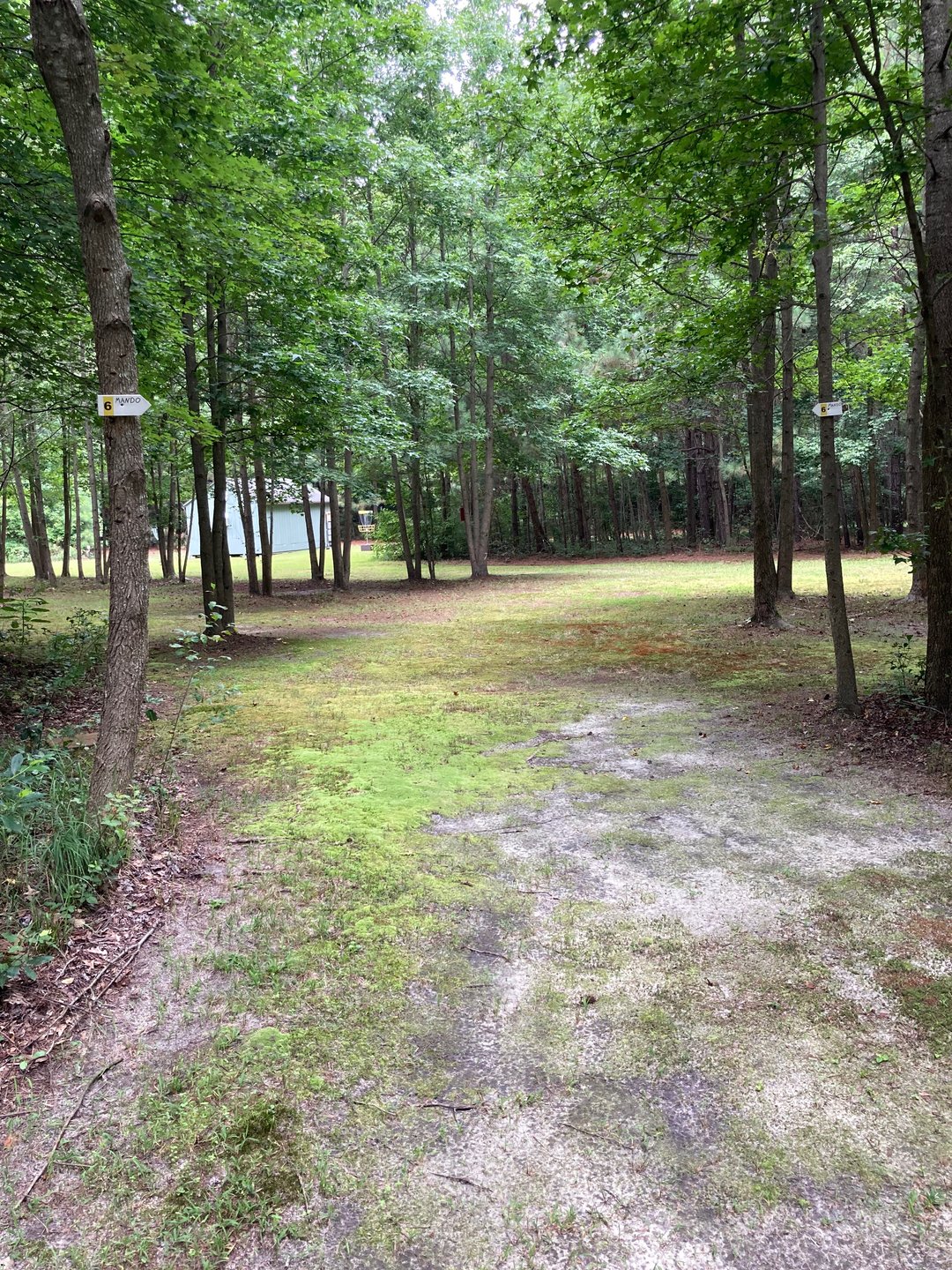 Hole 6 Double Mando 