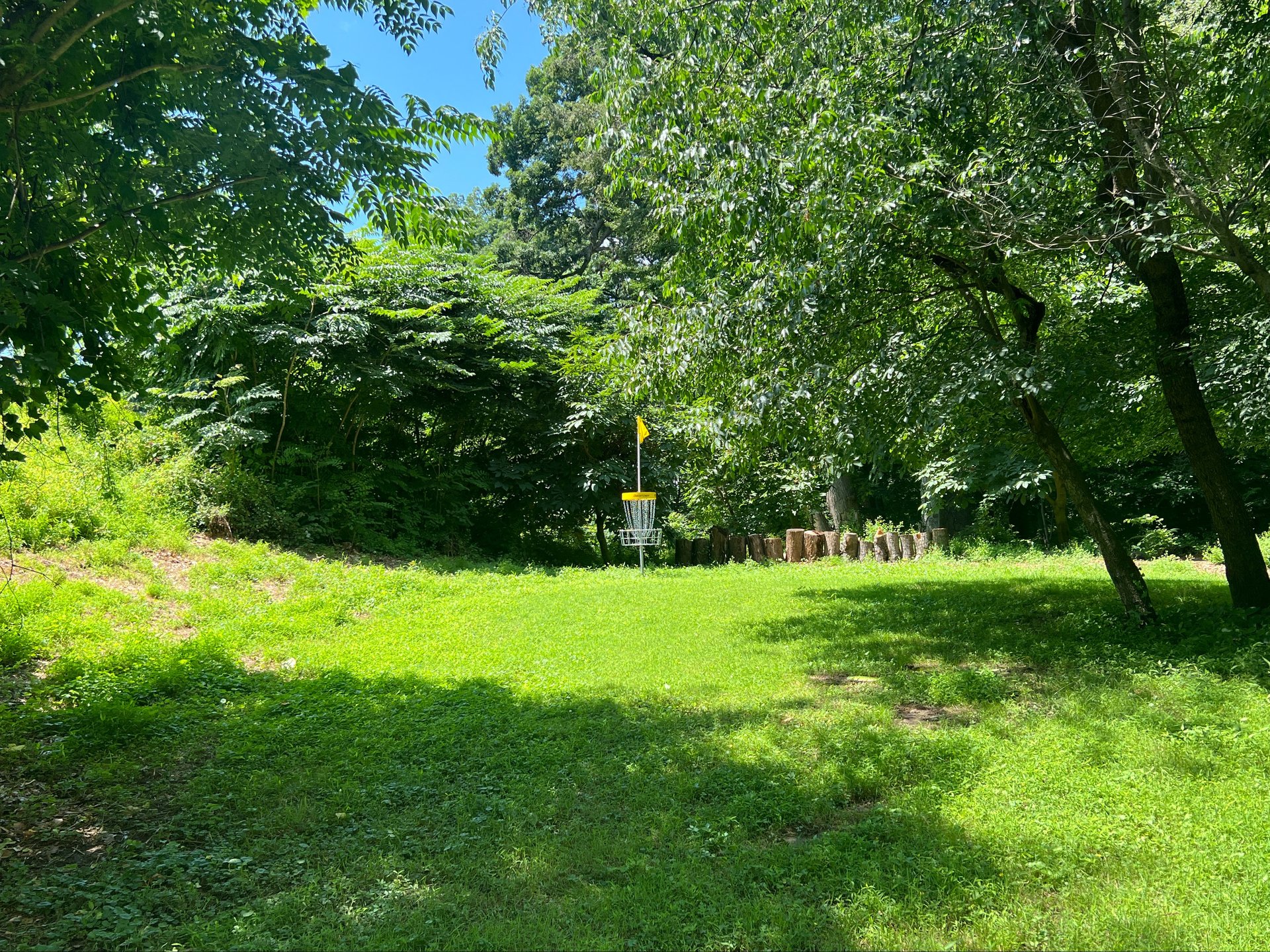 Hole 4's yellow basket. Par 3. 338 ft. 
