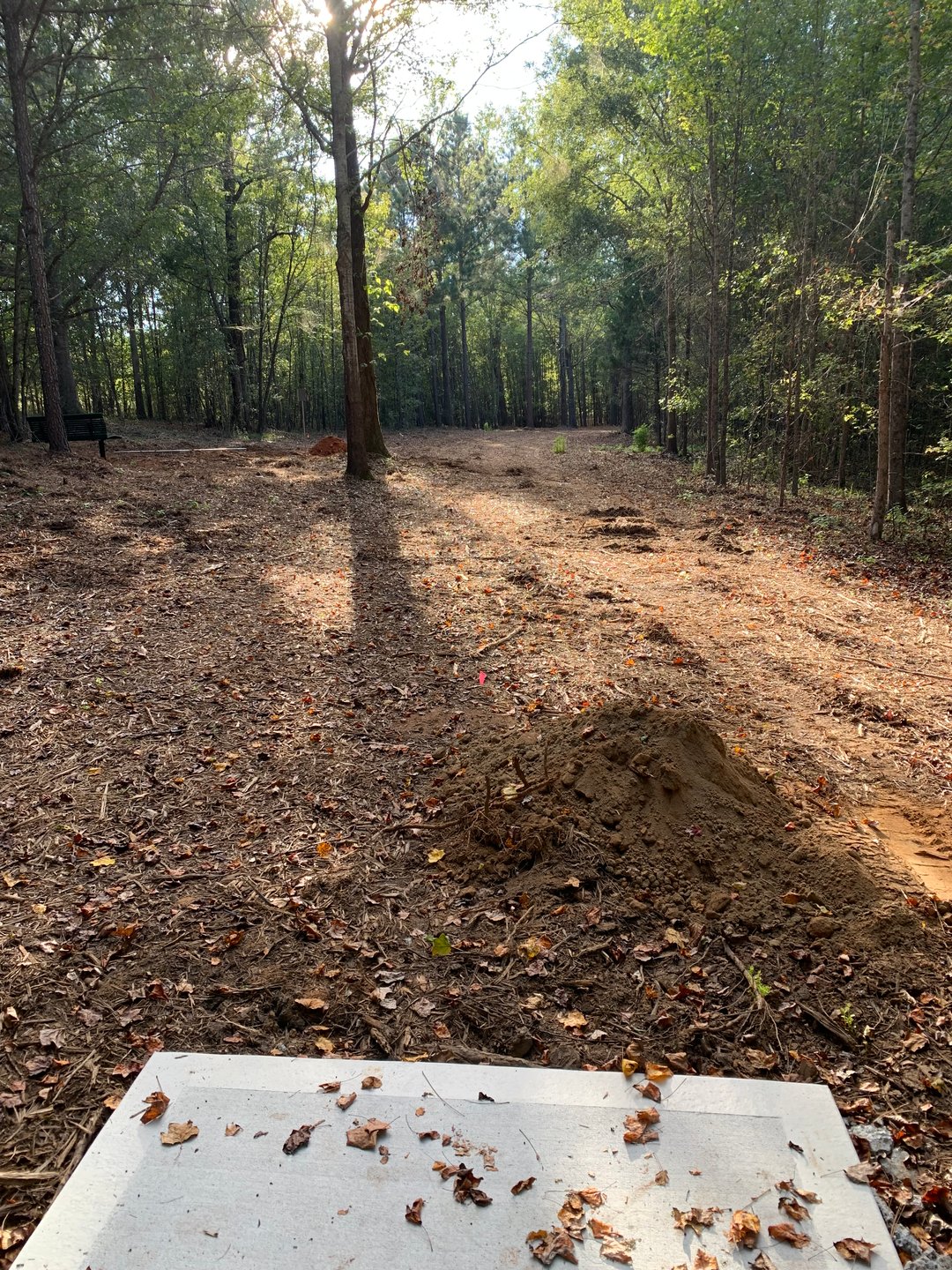 Hole 11 - Gold Tee (under construction)