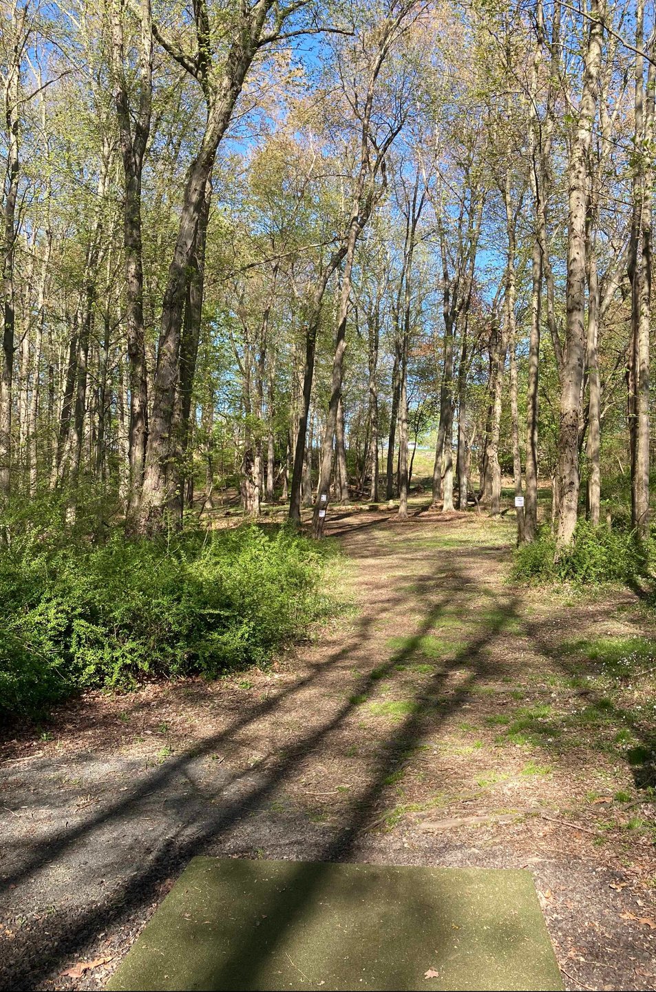 View from Hole 18 blue tee