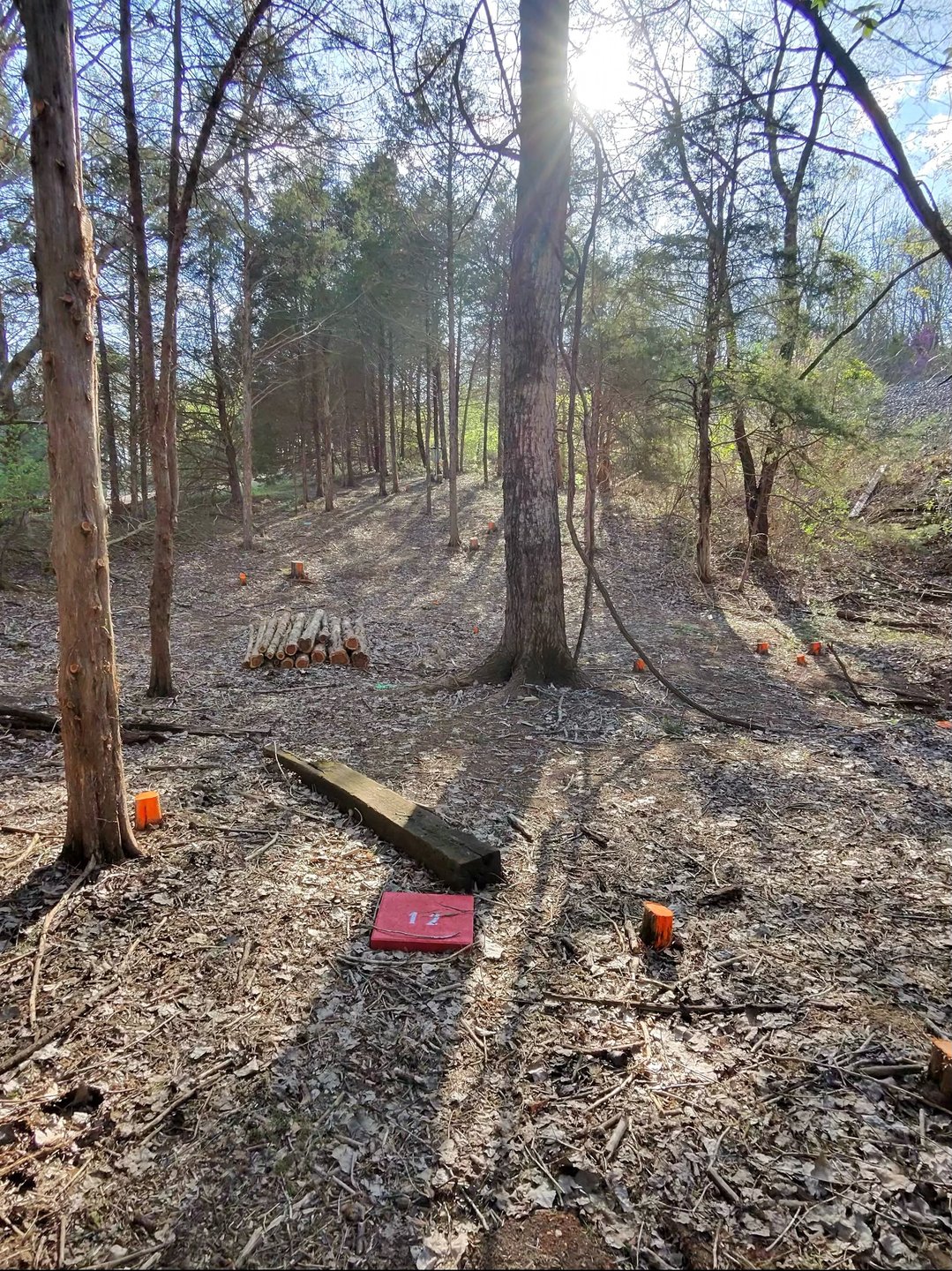 Hole 12 Red