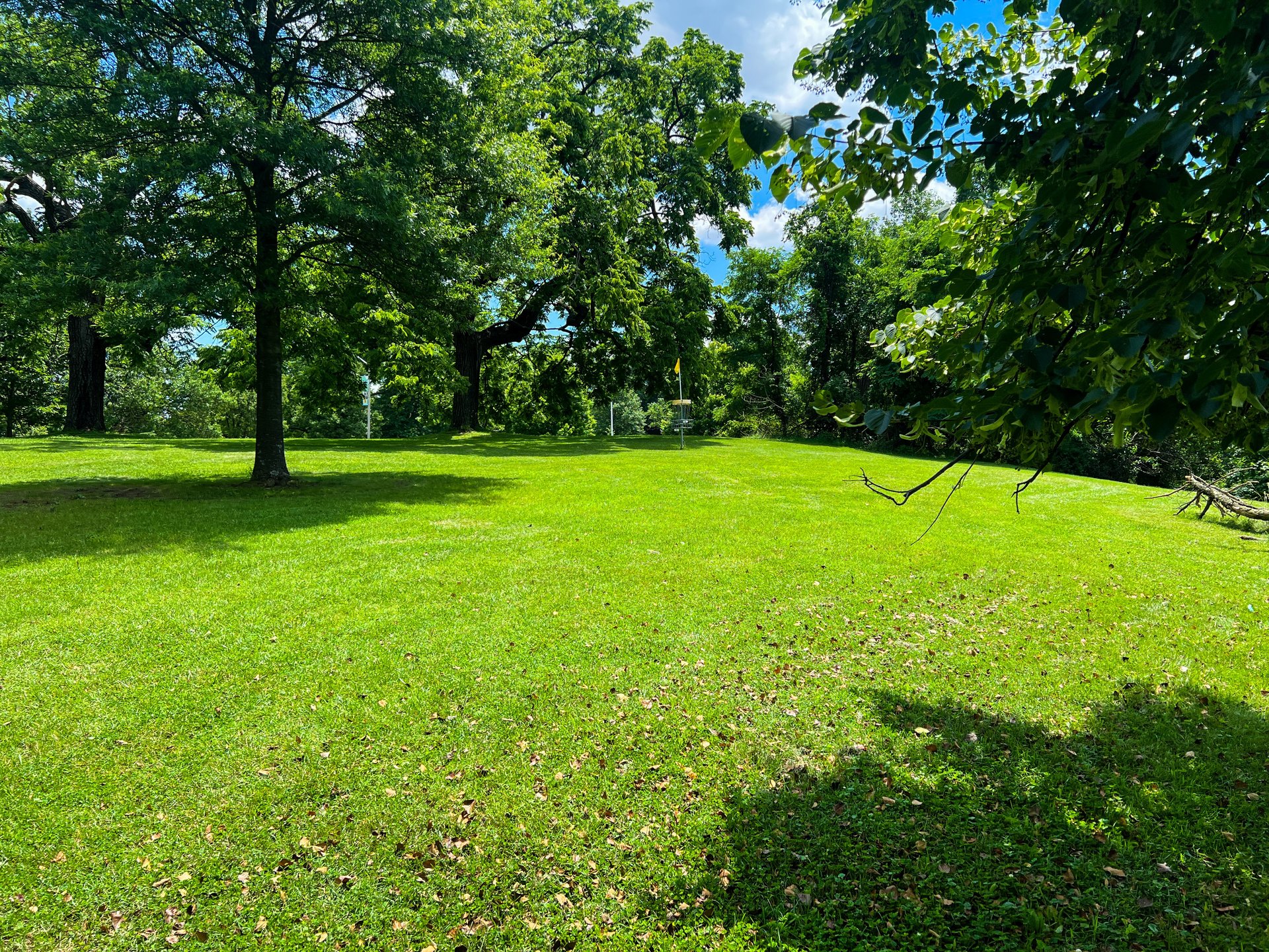 Hole 7's Yellow basket. Par 4. 544 ft. Back up the hill to the left of the Pink Basket. 