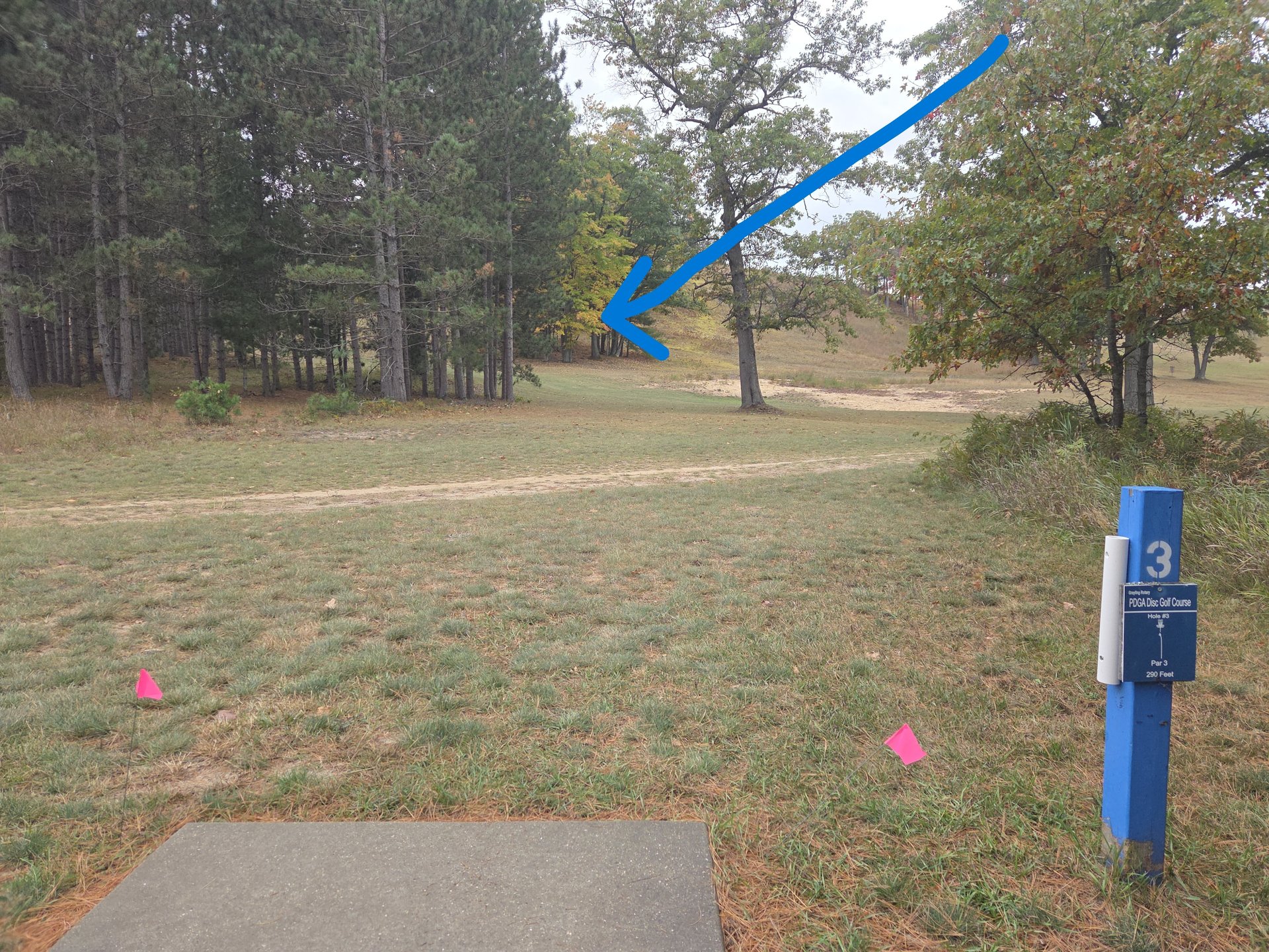 # 3 Tee