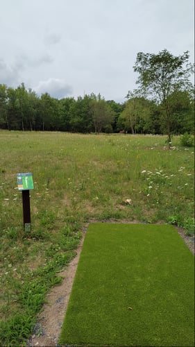 Hole 4
