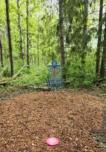 Basket view