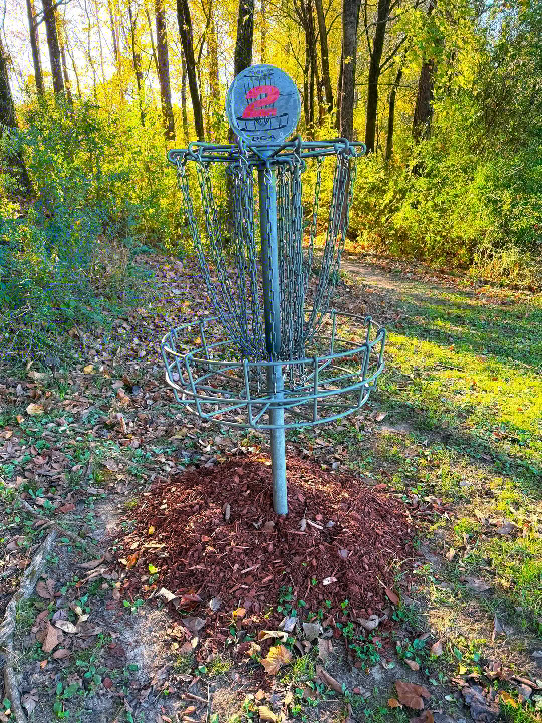 Hole 2 Basket
