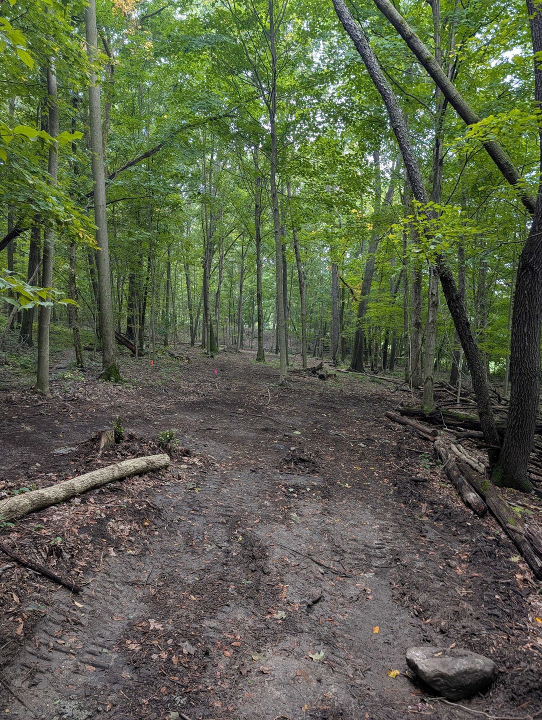 Hole 4 - Fairway from long tee - straight shot with gaps on left and right side