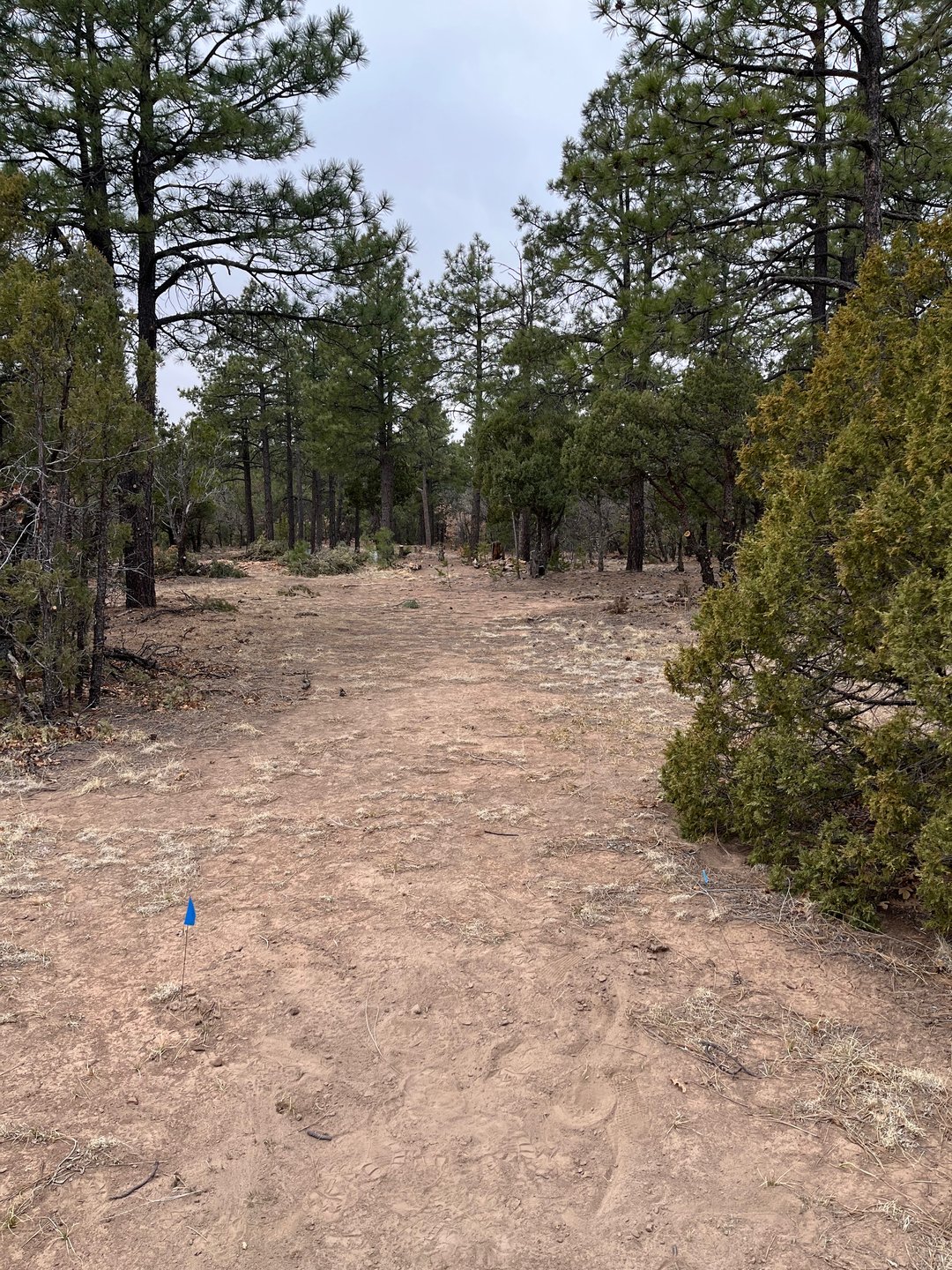 Hole 18 Long Tee