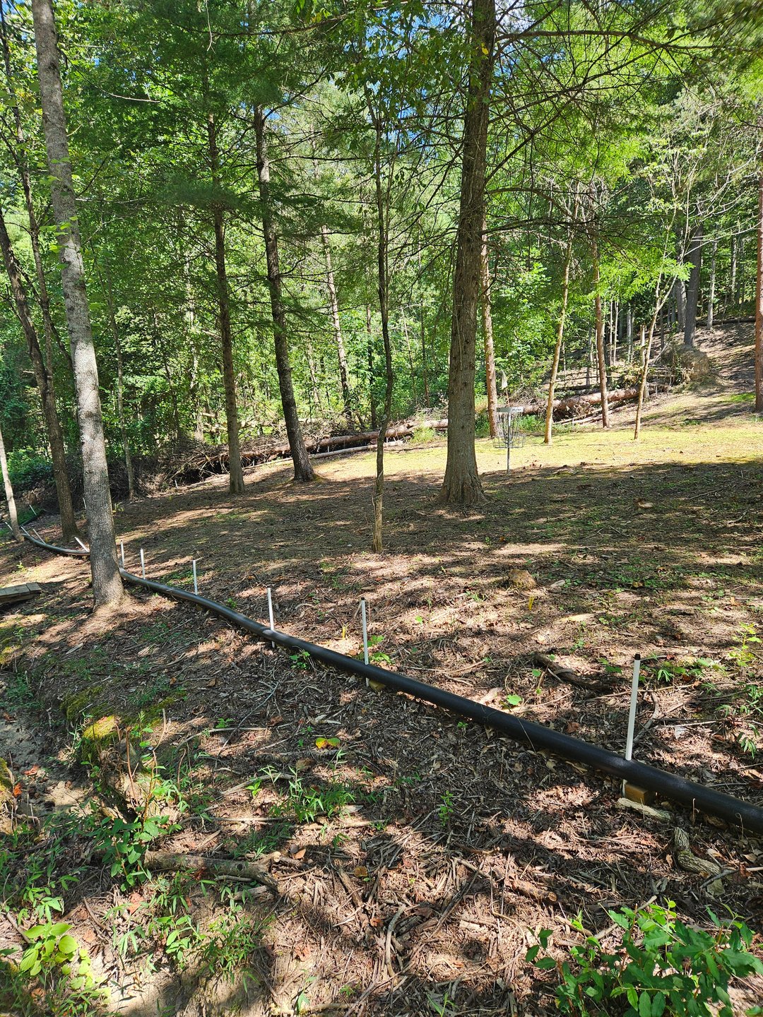 Hole 10 Long Basket. OB Beyond White Stakes.