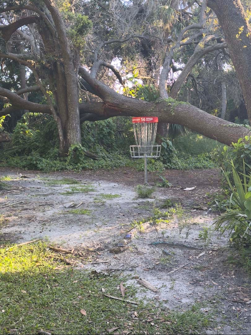Short/red basket 