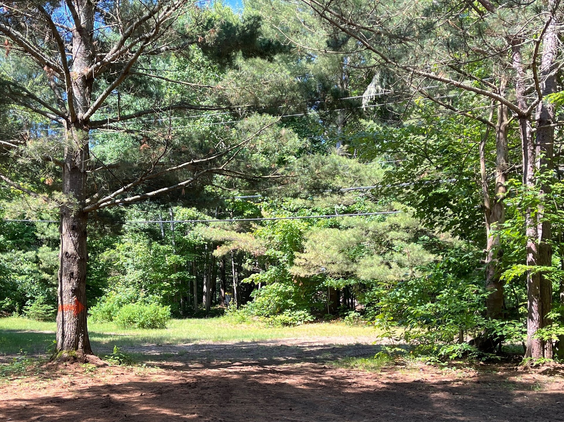 Hole 9 looking from the mandos into the target area
