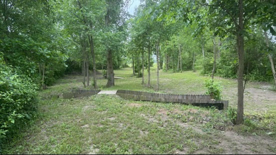 Hole 6 tee. 2 possible lines. Both very tight. 
