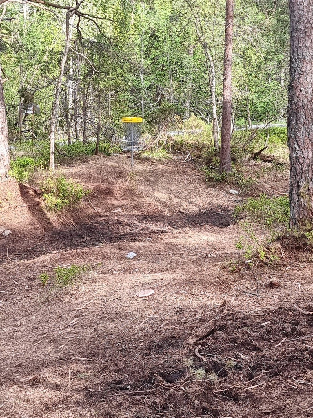 Green on hole 8
