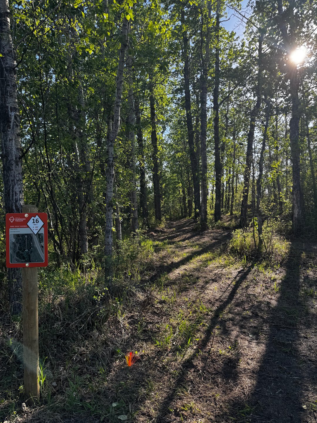 Hole 16