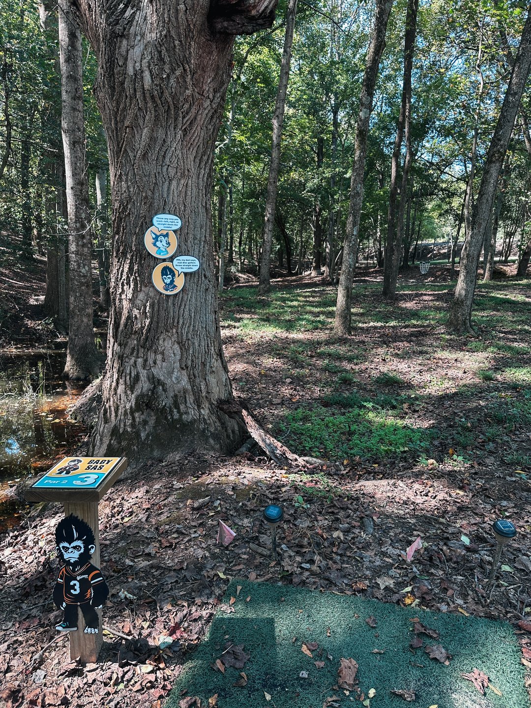 Hole #3