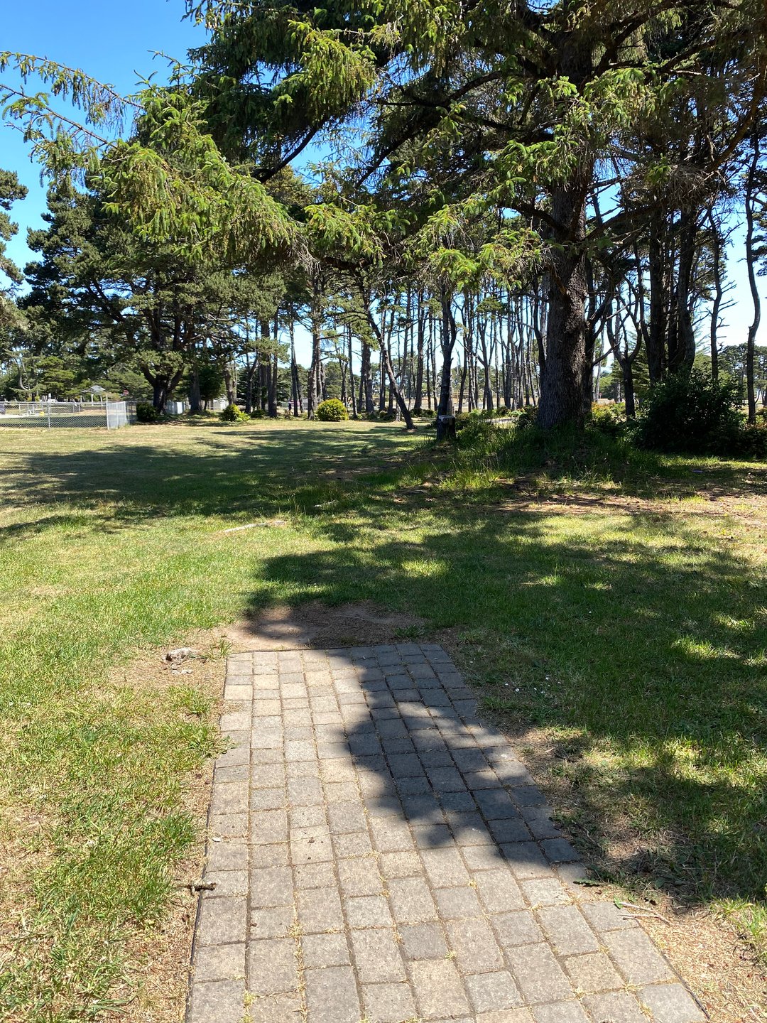 Tee pad for Hole 12 on Main layout and Hole 19A on the Bandon 30 layout.