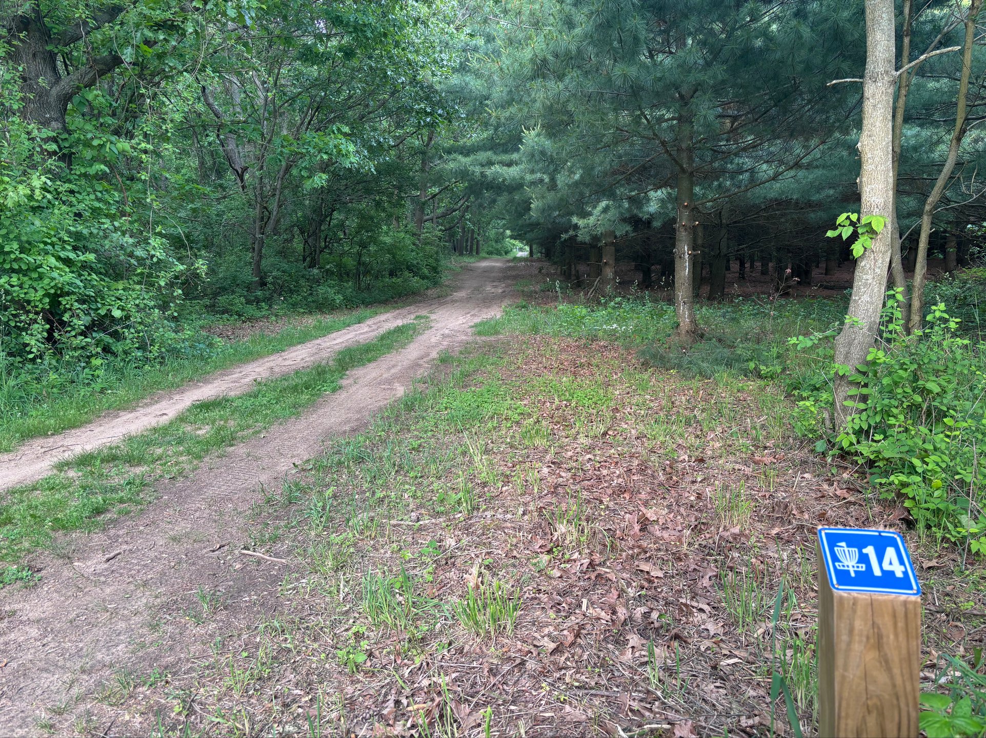 The tee shot and fairway of hole 14.